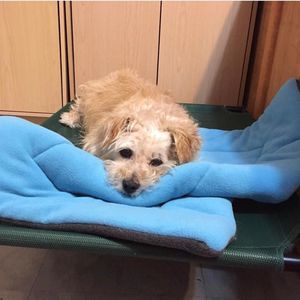 Meet your Posher, Roxanne